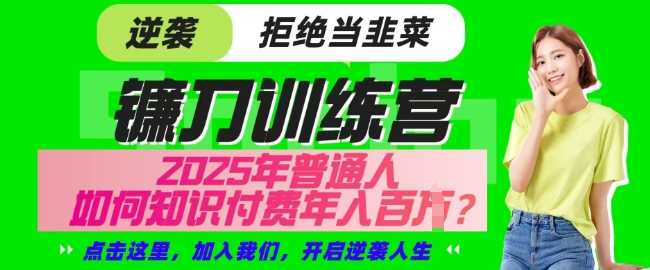 【网创项目终点站-镰刀训练营超级IP合伙人】25年普通人如何通过知识付费实现逆袭【揭秘】-鲲鹏云网创