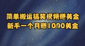 简单搬运搞笑视频挣美金，新手一个月入1k美金-鲲鹏云网创