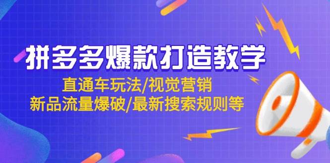 （14681期）拼多多爆款打造教学：直通车玩法/视觉营销/新品流量爆破/最新搜索规则等-鲲鹏云网创