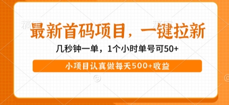 最新首码项目，操作最简单，收益高，一键拉新，1个小时单号可50+，小项目认真做每天5张+收益【揭秘】-鲲鹏云网创