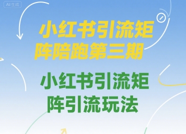 小红书引流矩阵陪跑第三期，小红书引流矩阵引流玩法-鲲鹏云网创