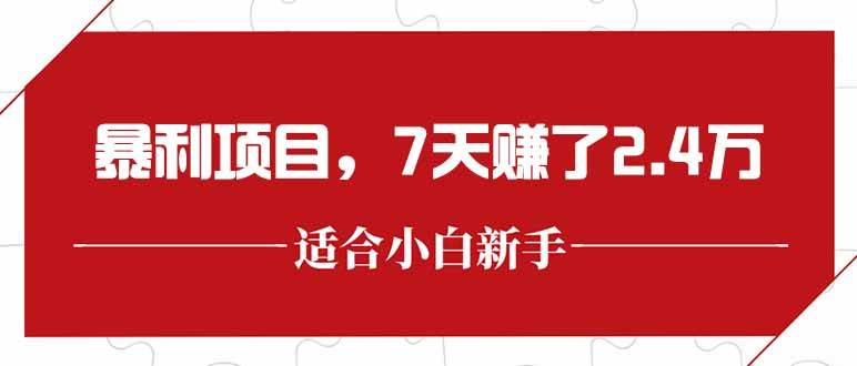 （15228期）最新暴利项目，每单收益轻松在300以上，7天赚了2.4万-鲲鹏云网创