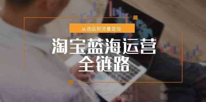 淘宝蓝海运营全链路，从选品到流量变现，小类目突围完整方案-鲲鹏云网创