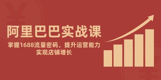 （14830期）阿里巴巴实战课：掌握1688流量密码，提升运营能力，实现店铺增长-鲲鹏云网创