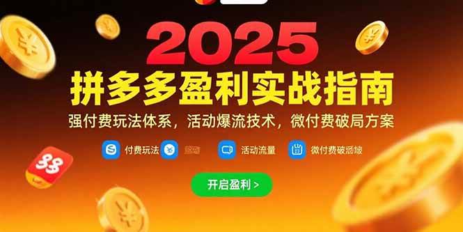 （15357期）拼多多盈利实战指南，强付费玩法，活动爆流技术，微付费破局方案(更新7月)-鲲鹏云网创