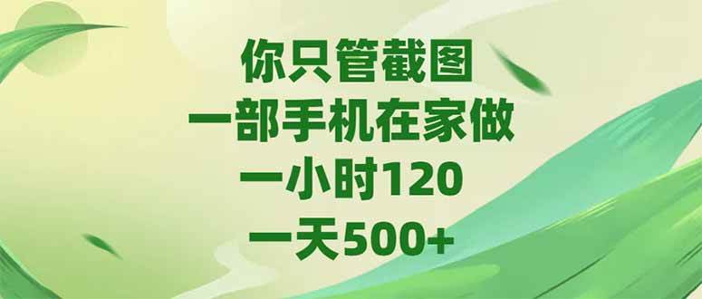 （15039期）你只管截图，一部手机在家做，一小时120，-天500+-鲲鹏云网创