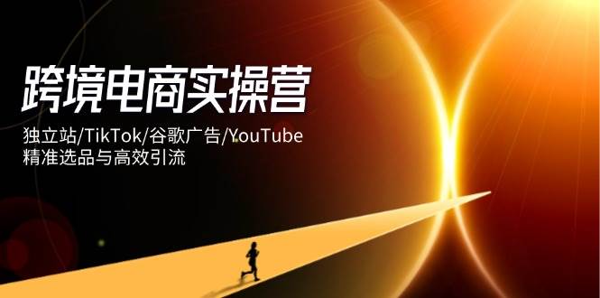 （14419期）跨境电商实操营：独立站/TikTok/谷歌广告/YouTube，精准选品与高效引流-鲲鹏云网创