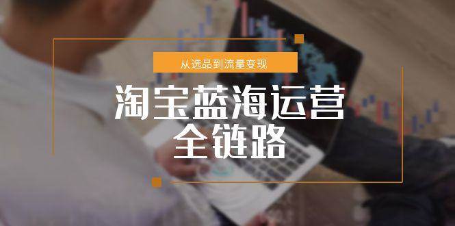 （15160期）淘宝蓝海运营全链路，从选品到流量变现，小类目突围完整方案-鲲鹏云网创