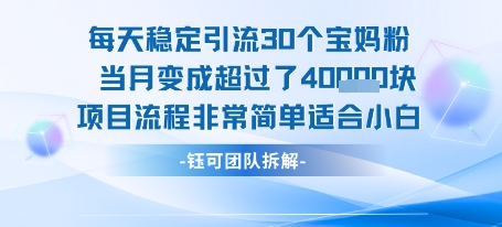 每天稳定引流30个人 当月变成超过了4个W项目流程非常简单适合小白-鲲鹏云网创