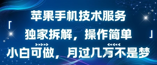 苹果手机技术服务，独家拆解，操作简单，小白可做，月过1W不是梦-鲲鹏云网创