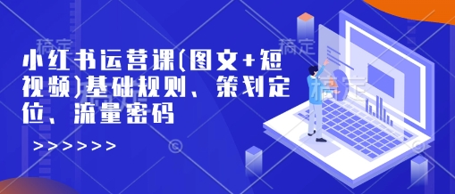 小红书运营课(图文+短视频)基础规则、策划定位、流量密码-鲲鹏云网创