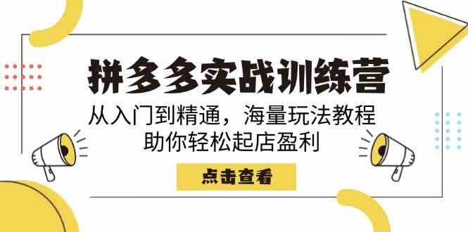 拼多多实战训练营，从入门到精通，海量玩法教程，助你轻松起店盈利-鲲鹏云网创
