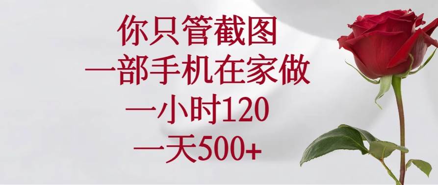 （14248期）你只管截图，一部手机在家做，一小时120，一天500+-鲲鹏云网创