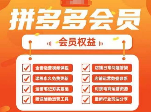 2025拼多多运营实战课，40节全流程教学，覆盖拼多多运营全链路-鲲鹏云网创