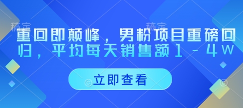重回即颠峰，男粉项目重磅回归，平均每天销售额1-4W-鲲鹏云网创