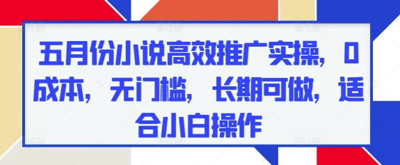 五月份小说高效推广实操，0成本，无门槛，长期可做，适合小白操作-鲲鹏云网创
