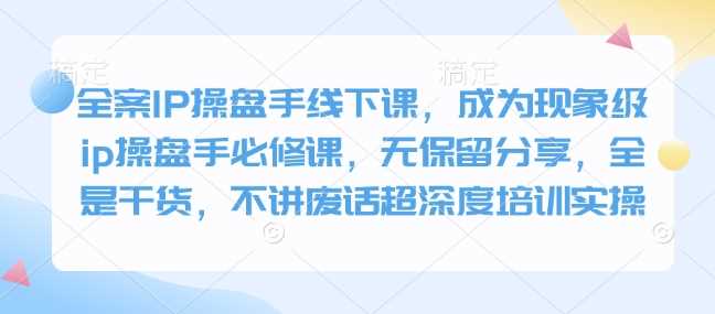 全案IP操盘手线下课，成为现象级ip操盘手必修课，无保留分享，全是干货，不讲废话超深度培训实操-鲲鹏云网创