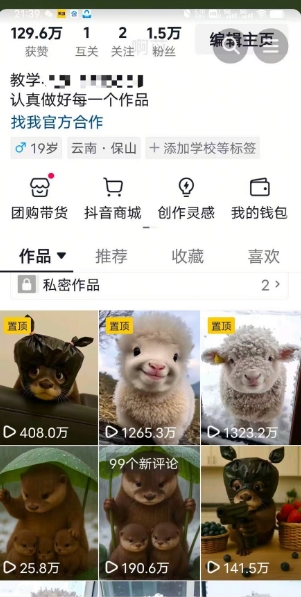 抖音65W博主AI萌宠课程，新赛道流量大，原创+二创，全套课程+提示词-鲲鹏云网创