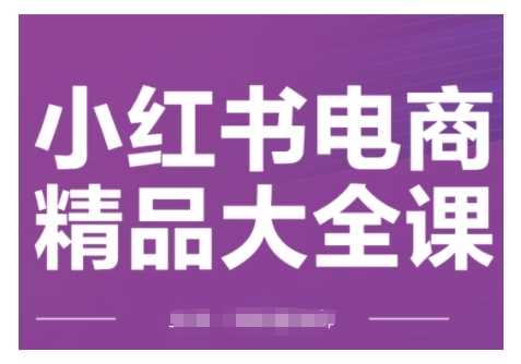 小红书电商精品大全课，快速掌握小红书运营技巧，实现精准引流与爆单目标，轻松玩转小红书电商(更新2月)-鲲鹏云网创