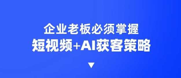 企业短视频AI获客霸屏流量课，6步短视频+AI突围法，3大霸屏抢客策略-鲲鹏云网创