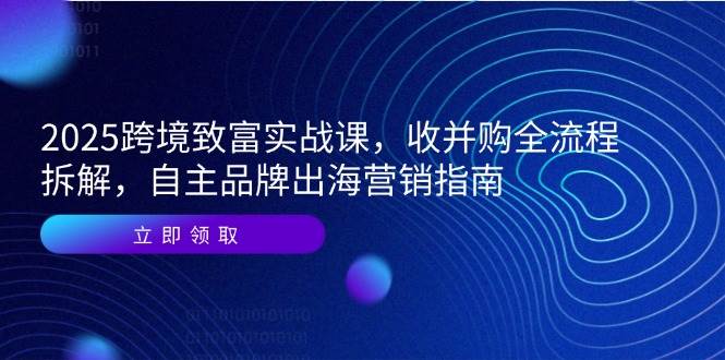（14975期）2025跨境致富实战课，收并购全流程拆解，自主品牌出海营销指南-鲲鹏云网创