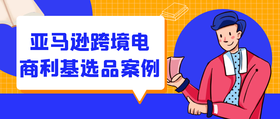 亚马逊跨境电商利基选品案例-鲲鹏云网创