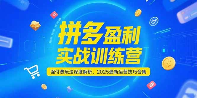 （15183期）拼多多盈利实战训练营，强付费玩法深度解析，2025最新运营技巧合集-鲲鹏云网创