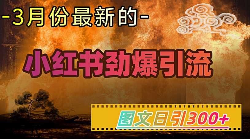 小红书超劲爆引流手段，图文日引300+轻松变现1W-鲲鹏云网创