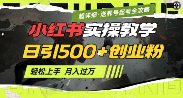 2月小红书最新日引500+创业粉实操教学【超详细】小白轻松上手，月入1W+，附小红书养号起号SOP-鲲鹏云网创