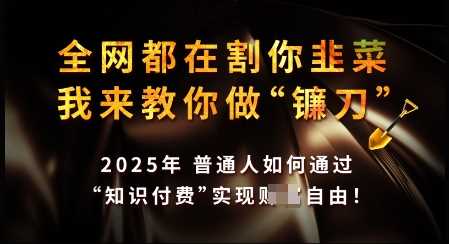 知识付费如何做到月入过W+，2025我来教你做“镰刀”【揭秘】-鲲鹏云网创