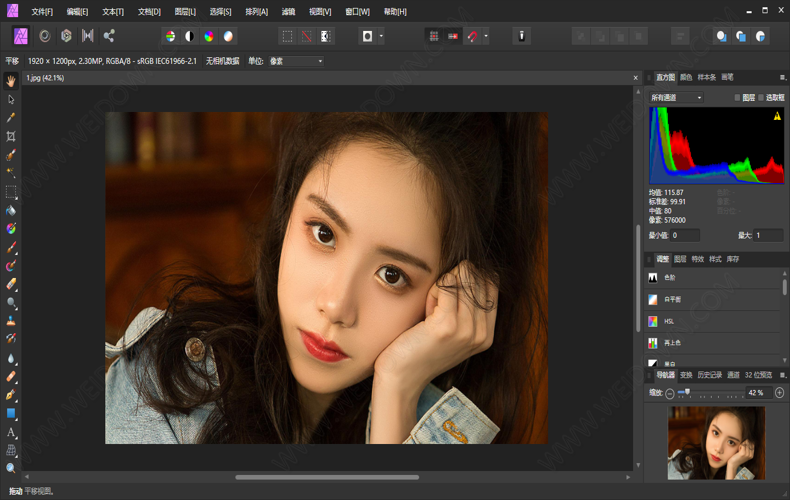 Affinity Designer2 v2.6.2.3228绿色版-鲲鹏云网创