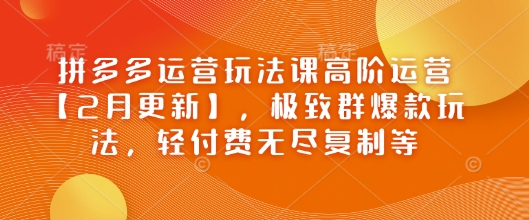 拼多多运营玩法课高阶运营【2月更新】，极致群爆款玩法，轻付费无尽复制等-鲲鹏云网创