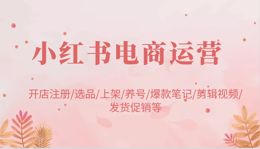 小红书电商运营：开店注册/选品/上架/养号/爆款笔记/剪辑视频/发货促销等-鲲鹏云网创