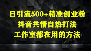 日引流500+精准创业粉，抖音共情自热打法，工作室都在用的方法-鲲鹏云网创