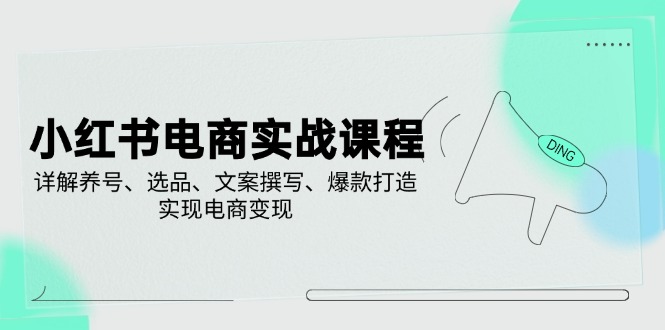 （14549期）小红书电商实战课程，详解养号、选品、文案撰写、爆款打造，实现电商变现-鲲鹏云网创