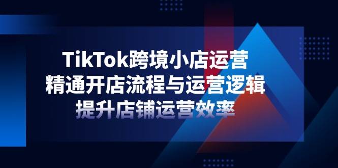 （14369期）TikTok跨境小店运营，精通开店流程与运营逻辑，提升店铺运营效率-鲲鹏云网创