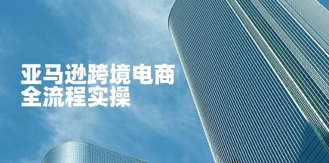 （14252期）亚马逊跨境电商全流程实操，教你从零开始，掌握店铺运营与广告技巧-鲲鹏云网创