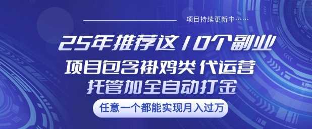 25年推荐这10个副业项目包含褂鸡类、代运营托管类、全自动打金类【揭秘】-鲲鹏云网创