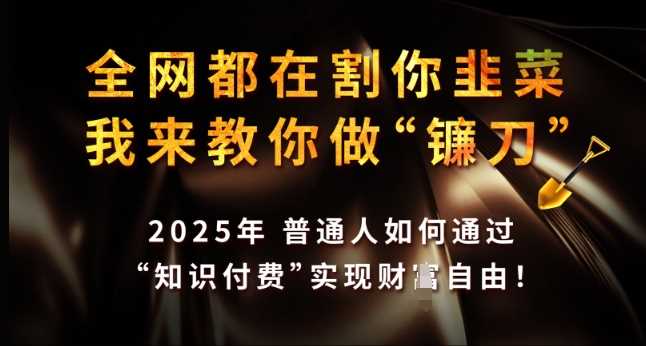 全网都在割你韭菜，我来教你做镰刀，2025年普通人如何通过 知识付费 实现财F自由【揭秘】-鲲鹏云网创