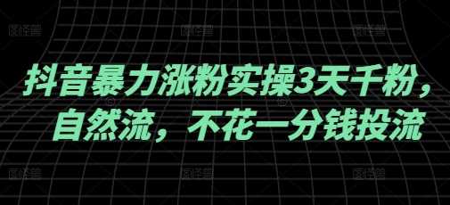 抖音暴力涨粉实操3天千粉，自然流，不花一分钱投流，实操经验分享-鲲鹏云网创