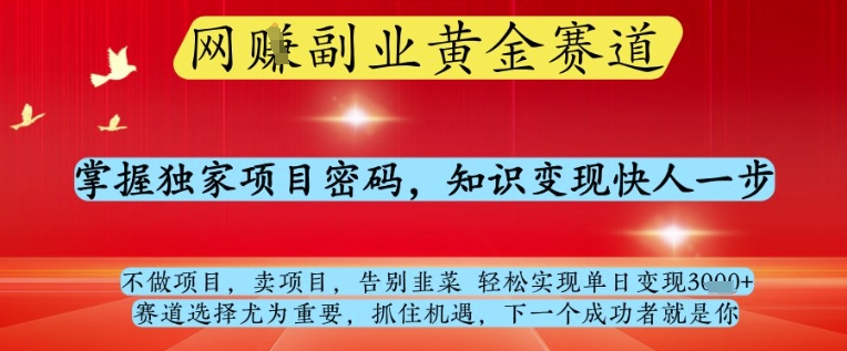 网创副业黄全赛道，掌握独家项目密码，知识变现快人一步，告别韭菜轻松实现单日变现1k+【揭秘】-鲲鹏云网创