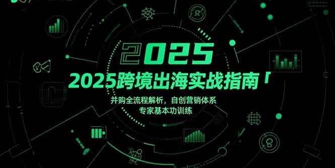 （15503期）2025跨境出海实战指南，并购全流程解析，自创营销体系，专家基本功训练-鲲鹏云网创