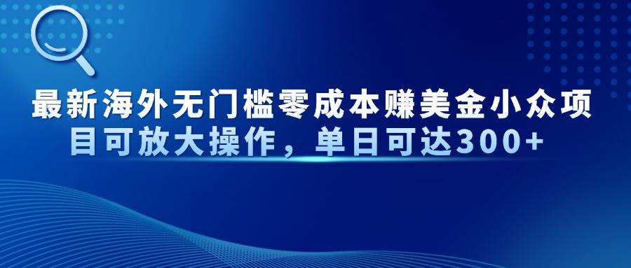 （14542期）最新海外无门槛零成本赚美金小众项目可放大操作，单日可达300+-鲲鹏云网创