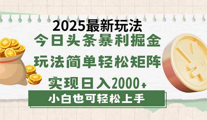 （14120期）今日头条2025最新玩法，思路简单，复制粘贴，轻松实现矩阵日入2000+-鲲鹏云网创
