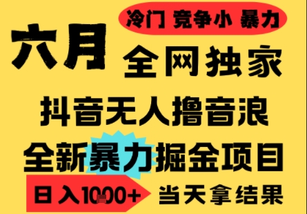 25年6月高爆抖音无人直播最新撸音浪掘金项目，小白可做，无脑日入1k+，门槛低可批量矩阵【揭秘】-鲲鹏云网创