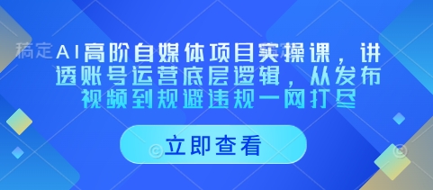 AI高阶自媒体项目实操课，讲透账号运营底层逻辑，从发布视频到规避违规一网打尽-鲲鹏云网创