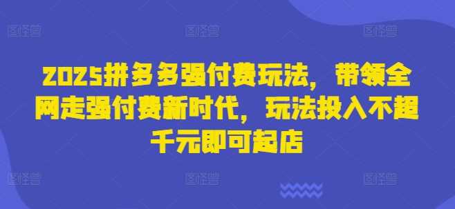 2025拼多多强付费玩法，带领全网走强付费新时代，玩法投入不超千元即可起店-鲲鹏云网创