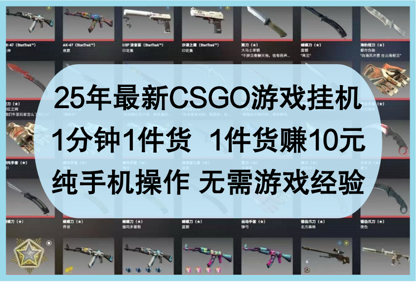 25年最新CSGO游戏挂机，1分钟1件货，1件货赚10元，纯手机操作，无需游戏经验-鲲鹏云网创