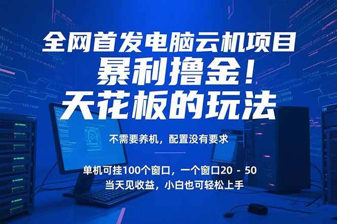 （15323期）电脑云机项目 暴力撸金玩法，不需要养机 配置没有要求 单机100个窗口一…-鲲鹏云网创