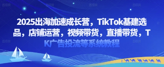 2025出海加速成长营，TikTok基建选品，店铺运营，视频带货，直播带货，TK广告投流等系统教程-鲲鹏云网创